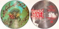 Napalm Death : Christening of the Blind